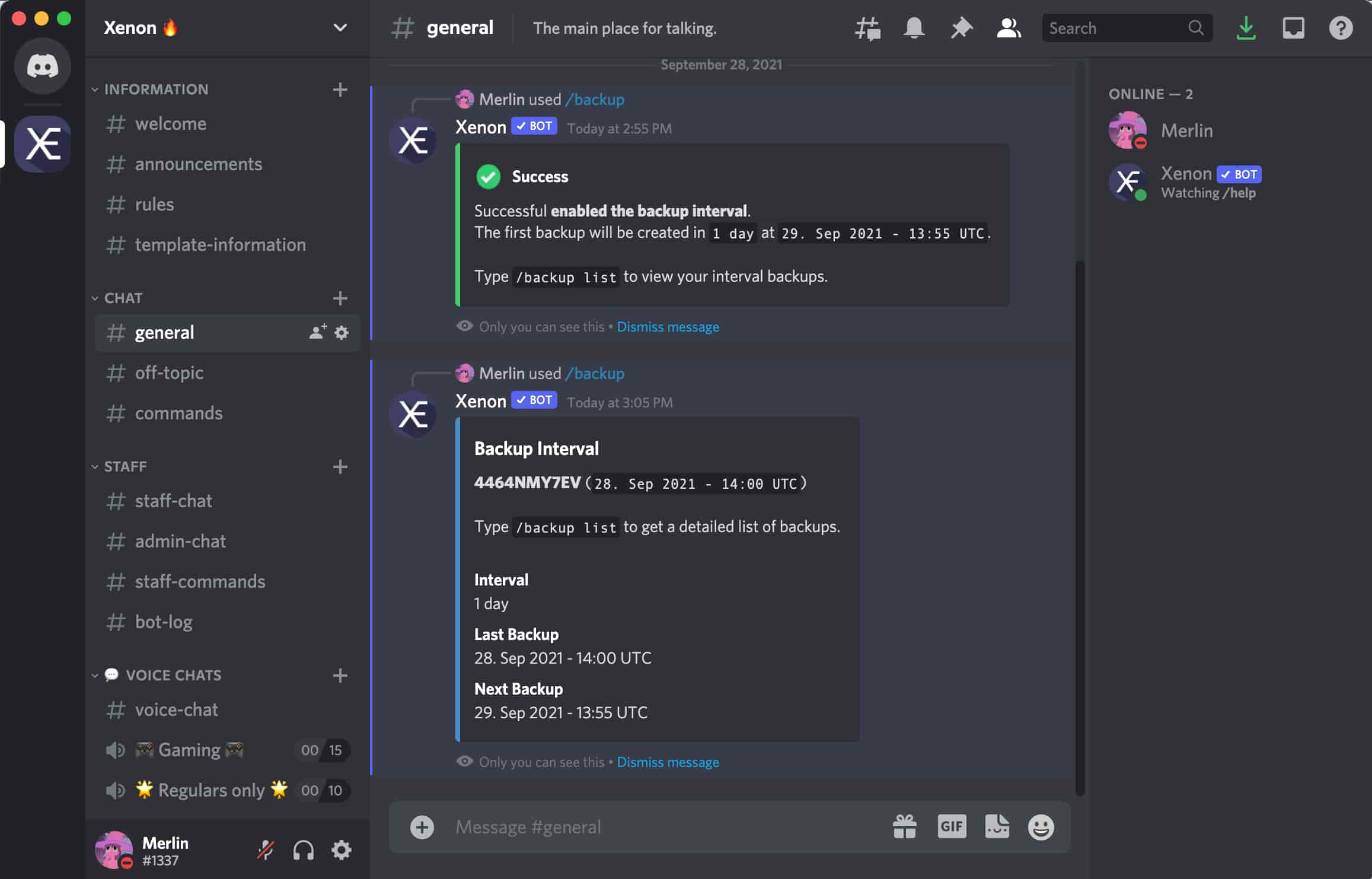 How to set up your Discord server